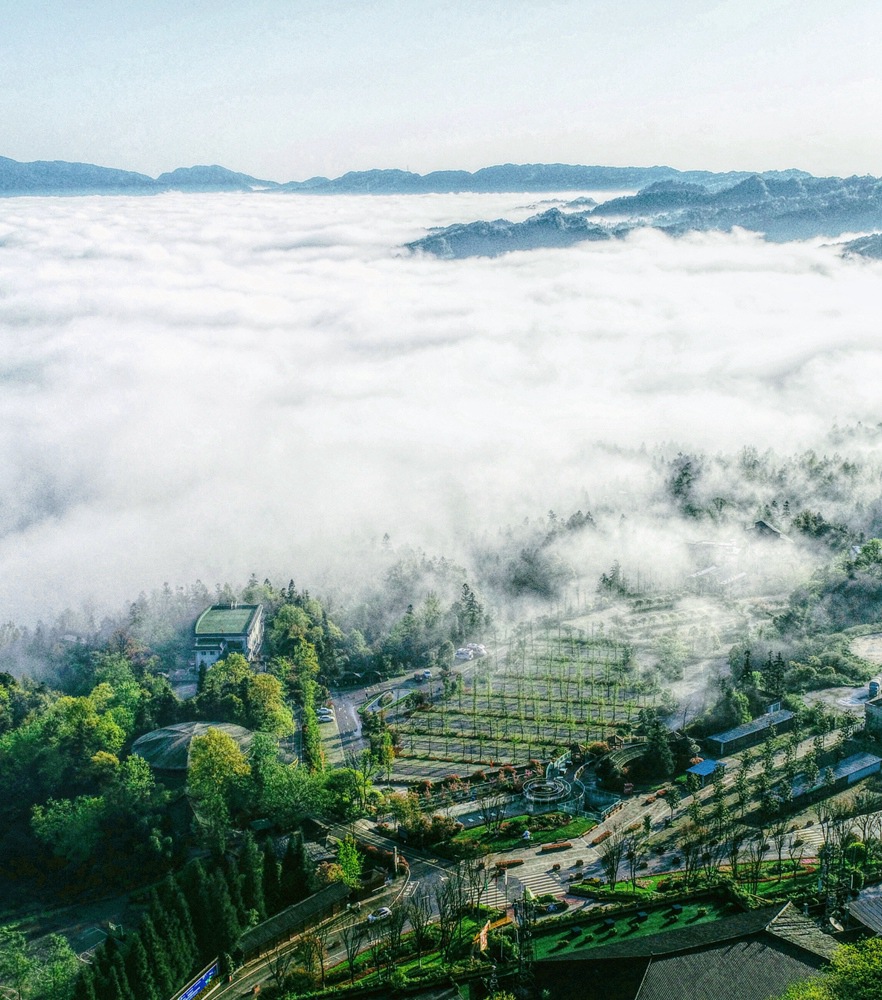 ca888亚洲城(中国)官方网站